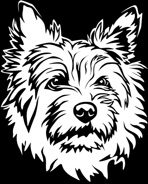 Aufkleber Cairn Terrier Kopf