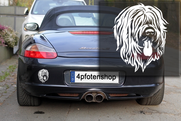 Autoaufkleber "Briard" Kopf