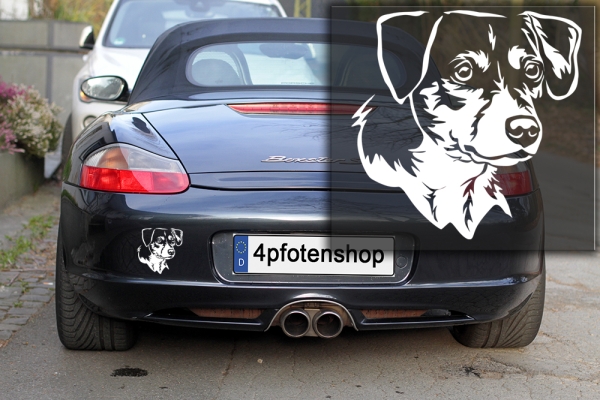 Autoaufkleber "Dansk-Svensk Gaardhond" Kopf