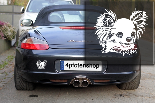 Autoaufkleber "Chihuahua" (Langhaar) Kopf