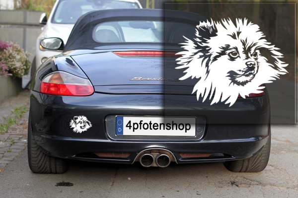 Autoaufkleber "Zwergspitz (Pomeranian)" Kopf