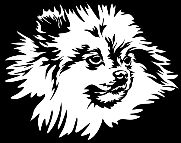 Autoaufkleber "Zwergspitz (Pomeranian)" Kopf