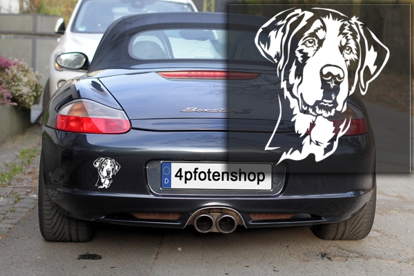 Autoaufkleber "Großer Schweizer Sennenhund" Kopf