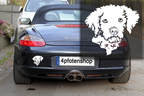 Autoaufkleber "Lagotto Romagnolo" Kopf