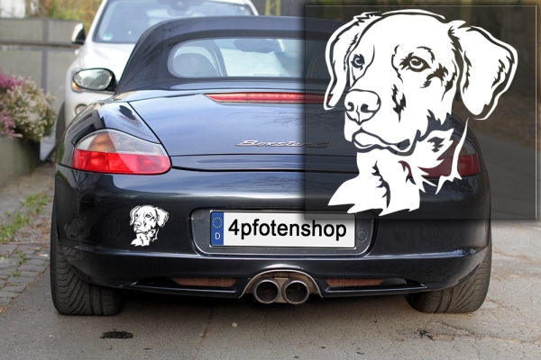 Autoaufkleber "Labrador" Kopf