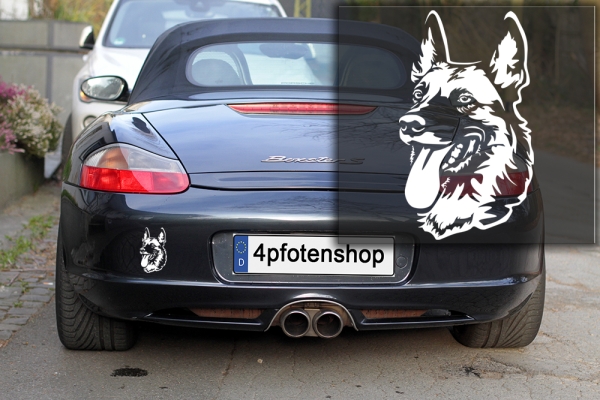 Autoaufkleber "Malinois" Kopf