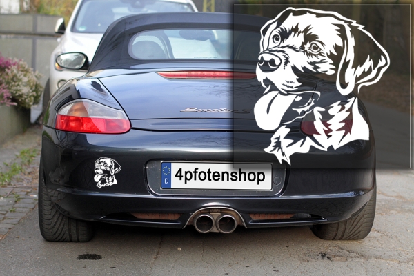 Autoaufkleber "Labrador" Kopf