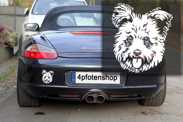 Autoaufkleber "Pumi" Kopf