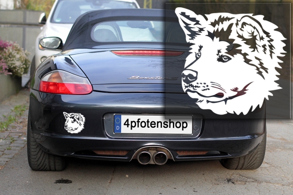 Autoaufkleber "Akita" Kopf