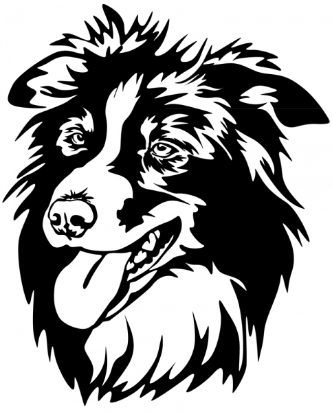 Aufkleber Border Collie