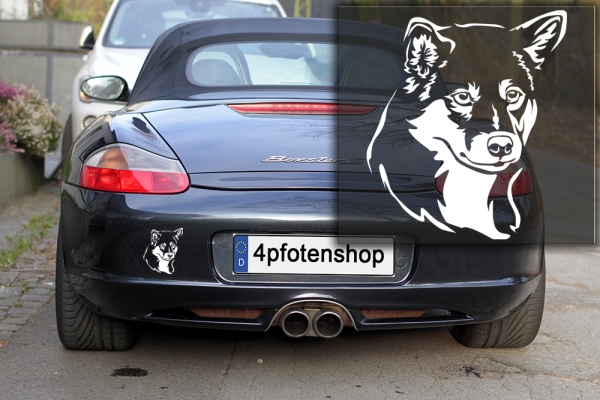 Autoaufkleber "Shiba" Kopf