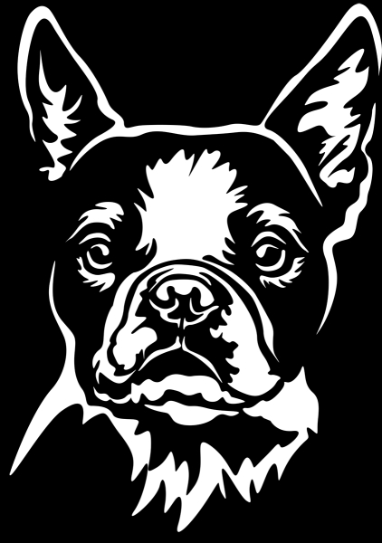 Aufkleber Boston Terrier Kopf