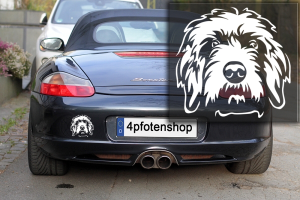 Autoaufkleber "Pudelpointer" Kopf