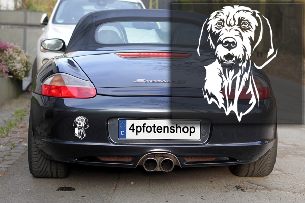 Autoaufkleber "Magyar Vizsla (Drahthaar)" Kopf