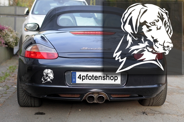 Autoaufkleber "Magyar Vizsla" Kopf