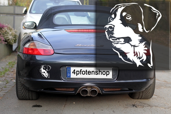 Autoaufkleber "Appenzeller Sennenhund" Kopf