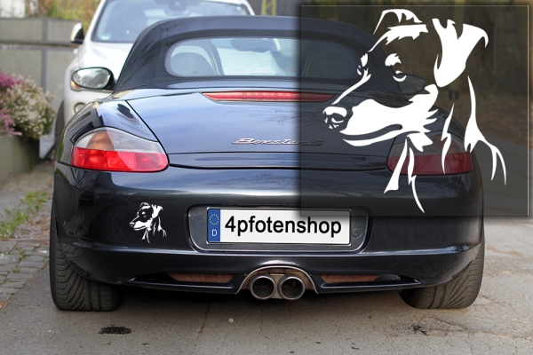 Autoaufkleber "Zwergpinscher" Kopf