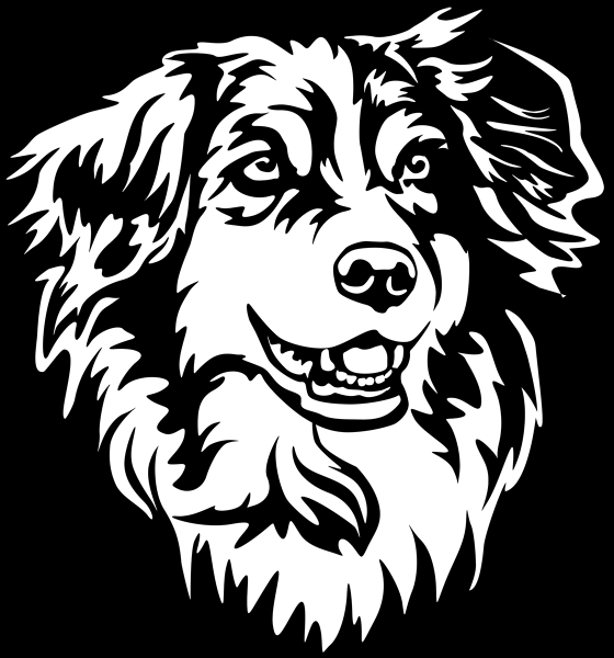 Aufkleber Australian Shepherd Kopf