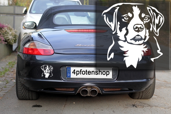 Autoaufkleber "Appenzeller Sennenhund" Kopf