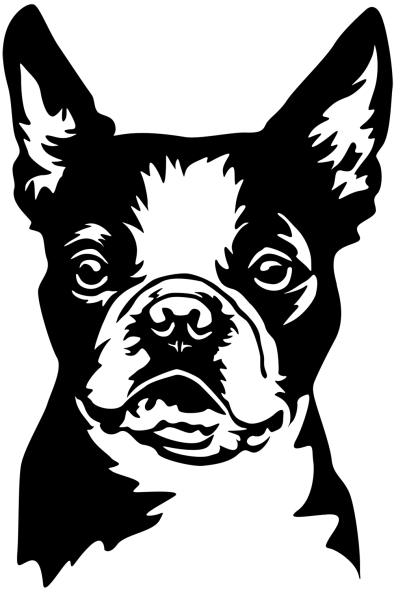 Aufkleber Boston Terrier Kopf