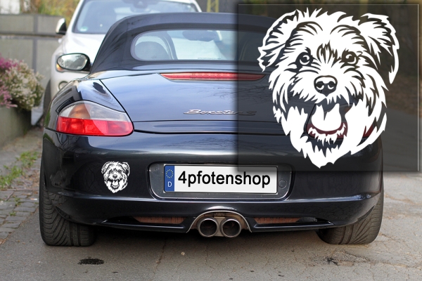 Autoaufkleber "Norfolk Terrier" Kopf