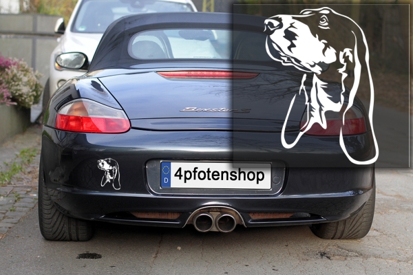 Autoaufkleber "Berner Laufhund" Kopf