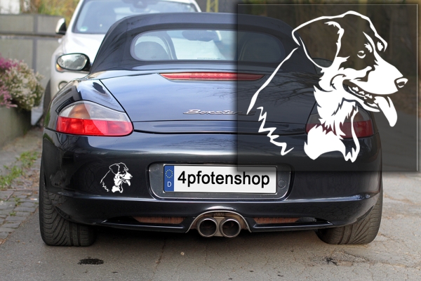 Autoaufkleber "Entlebucher" Kopf