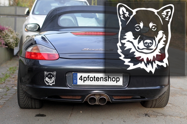 Autoaufkleber "Shiba" Kopf