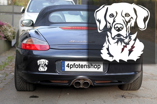 Autoaufkleber "Labrador" Kopf