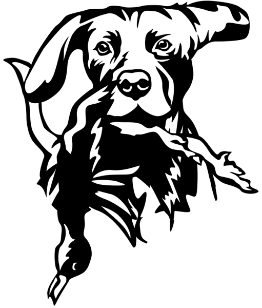 Aufkleber Weimaraner