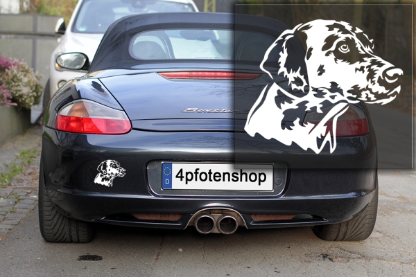 Autoaufkleber "Dalmatiner" Kopf