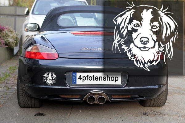 Autoaufkleber "Kooikerhondje" Kopf