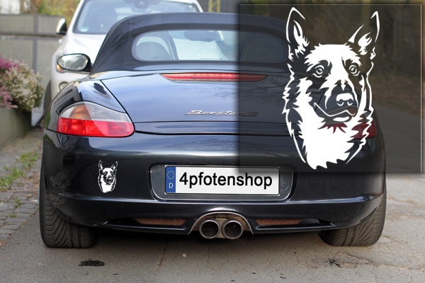 Autoaufkleber "Malinois" Kopf