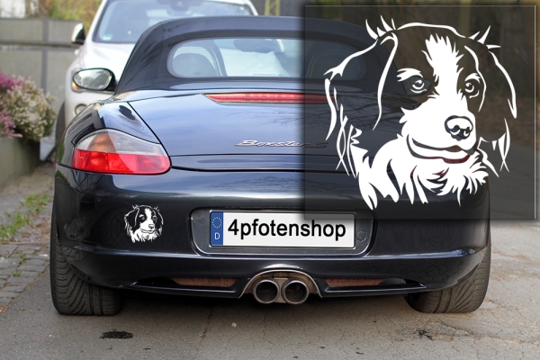 Autoaufkleber "Kooikerhondje" Kopf