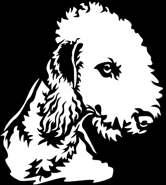 Aufkleber Bedlington Terrier Kopf