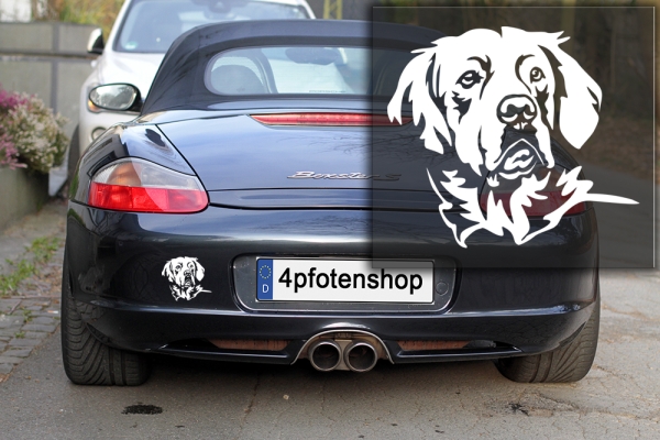 Autoaufkleber "Golden Retriever" Kopf