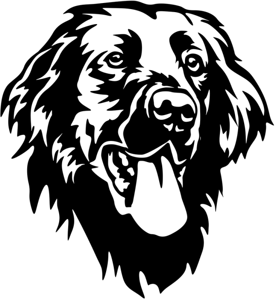 Aufkleber Flat-coated Retriever Kopf