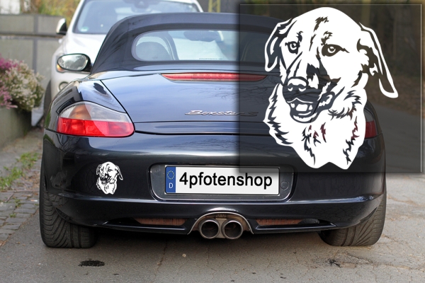 Autoaufkleber "Kangal" Kopf