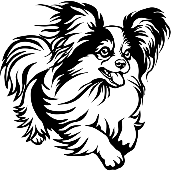 Aufkleber Papillon