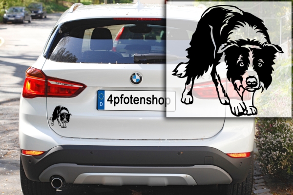 Autoaufkleber "Border Collie" Kontur