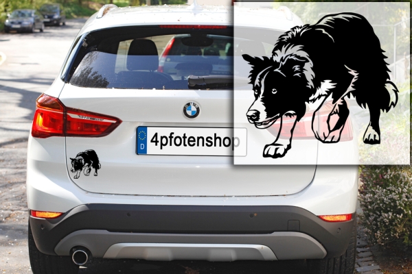 Autoaufkleber "Border Collie" Kontur