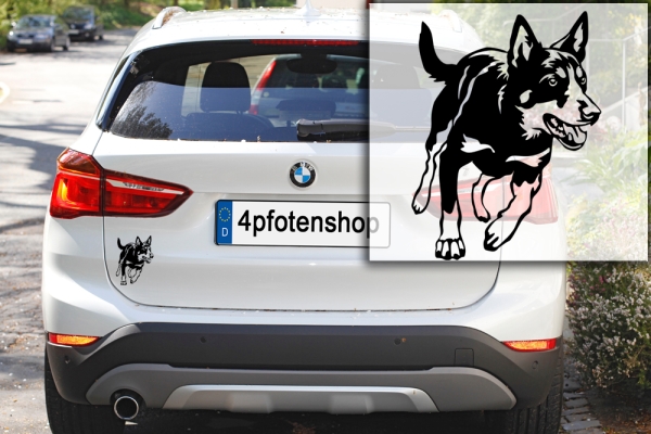 Autoaufkleber "Australian Kelpie" Kontur