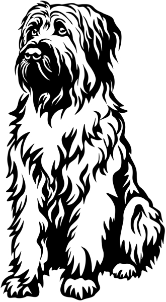 Aufkleber Briard