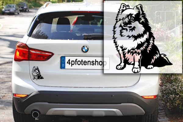 Autoaufkleber "Zwergspitz (Pomeranian)" Kontur