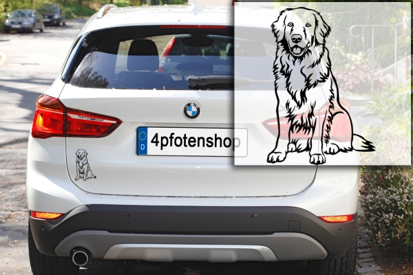 Autoaufkleber "Hovawart" Kontur