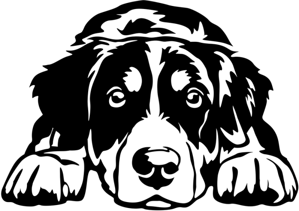 Aufkleber Appenzeller Sennenhund