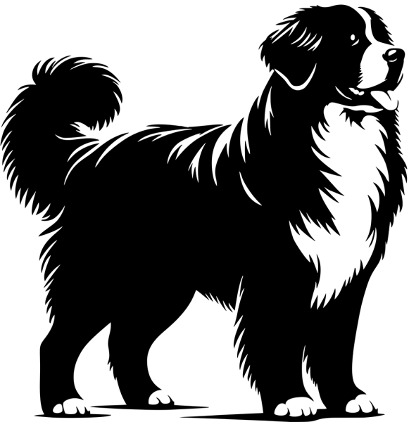 Aufkleber Berner Sennenhund