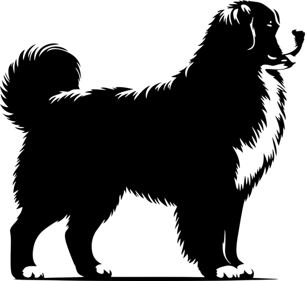 Aufkleber Berner Sennenhund