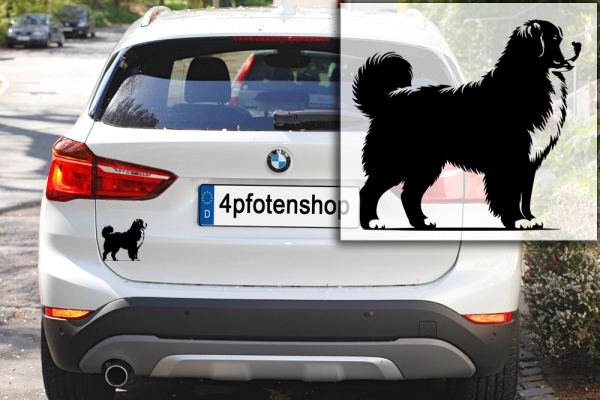 Autoaufkleber "Berner Sennenhund" Kontur