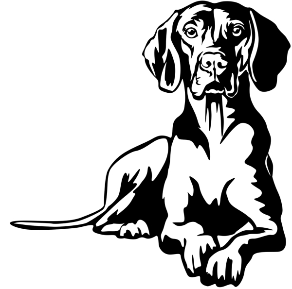 Aufkleber Magyar Vizsla